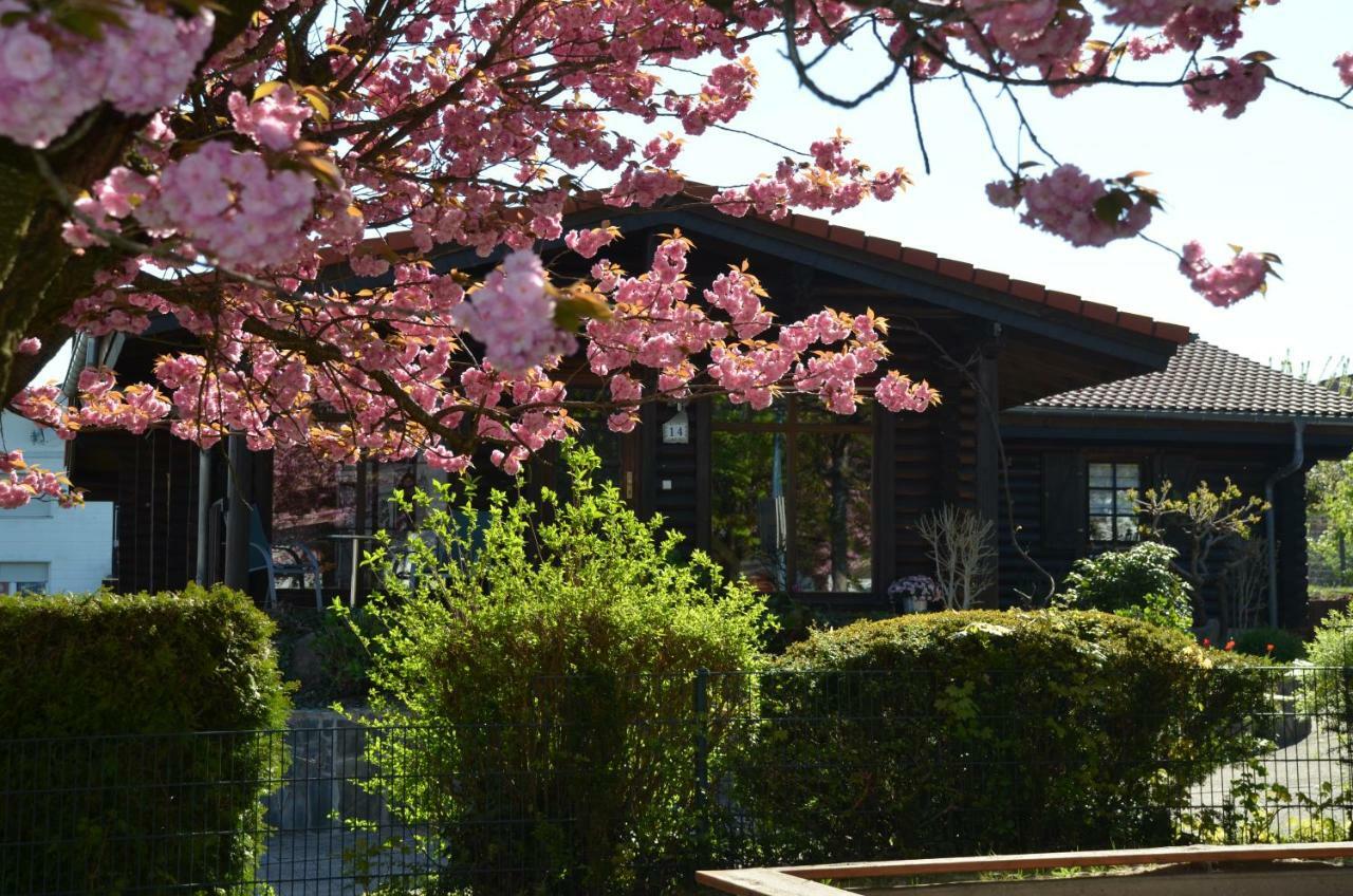 Ferienwohnung Blockhaus Juka Vinningen Dış mekan fotoğraf